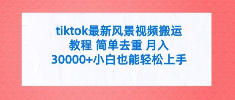 tiktok最新风景视频搬运教程 简单去重 月入3W+小白也能轻松上手【揭秘】-网赚联盟