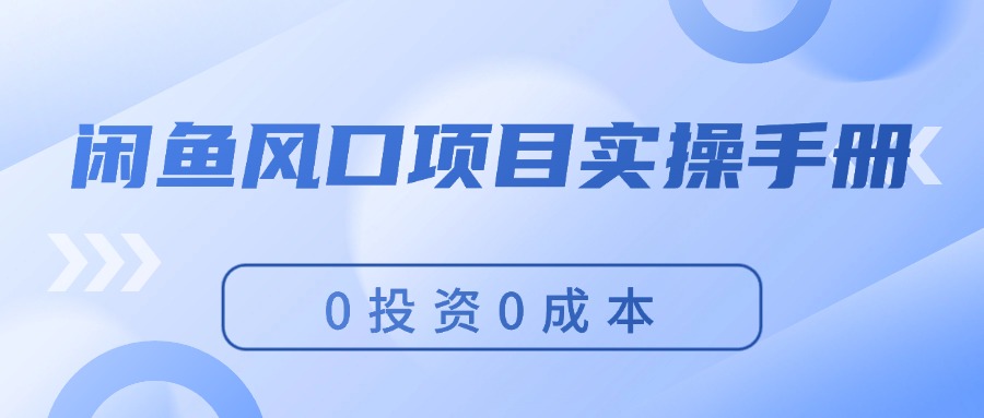（11923期）闲鱼风口项目实操手册，0投资0成本，让你做到，月入过万，新手可做-网赚联盟