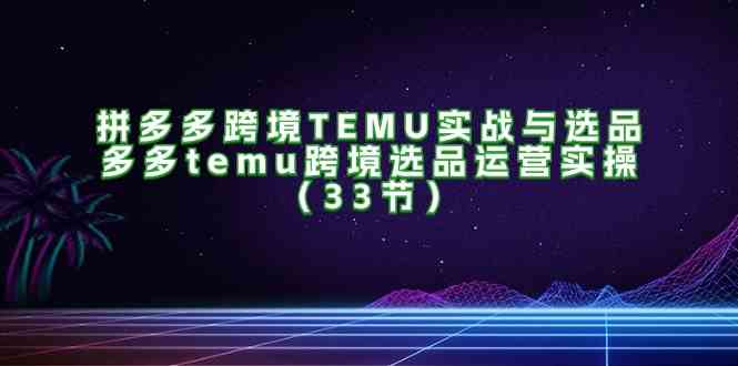 拼多多跨境TEMU实战与选品，多多temu跨境选品运营实操（33节）-网赚联盟