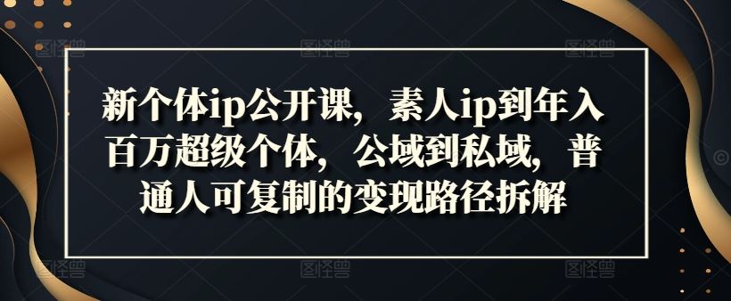 新个体ip公开课，素人ip到年入百万超级个体，公域到私域，普通人可复制的变现路径拆解-网赚联盟
