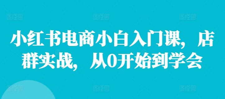 小红书电商小白入门课，店群实战，从0开始到学会-网赚联盟