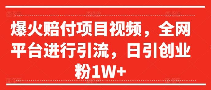 爆火赔付项目视频，全网平台进行引流，日引创业粉1W+【揭秘】-网赚联盟