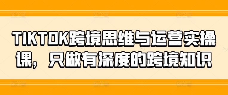 TIKTOK跨境思维与运营实操课，只做有深度的跨境知识-网赚联盟