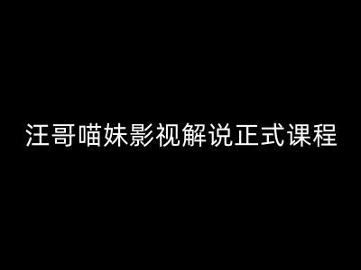 汪哥影视解说正式课程：剪映/PR教学/视解说剪辑5大黄金法则/全流程剪辑7把利器等等-网赚联盟