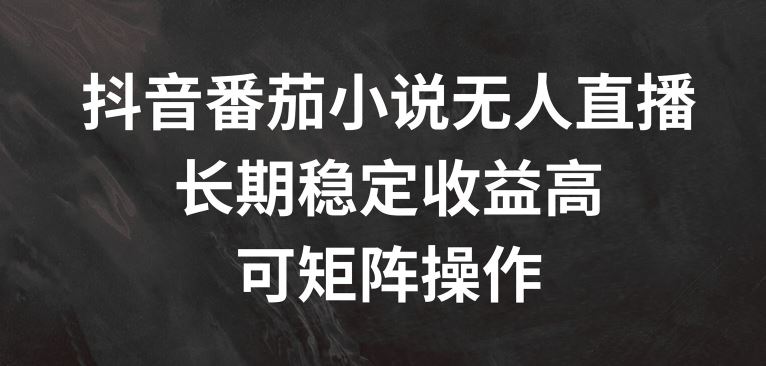 抖音番茄小说无人直播，长期稳定收益高，可矩阵操作【揭秘】-网赚联盟