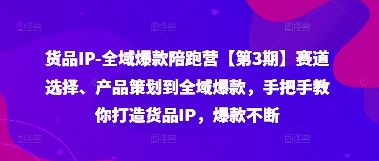 货品IP全域爆款陪跑营【第3期】赛道选择、产品策划到全域爆款，手把手教你打造货品IP，爆款不断-网赚联盟