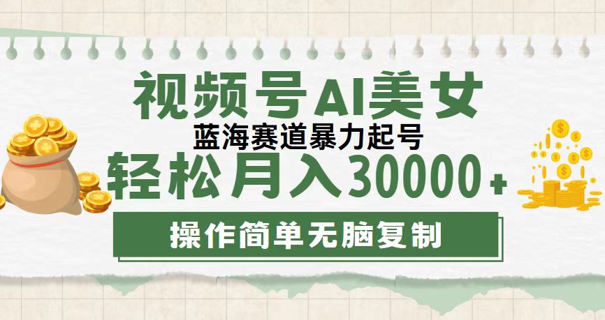 （12087期）视频号AI美女跳舞，轻松月入30000+，蓝海赛道，流量池巨大，起号猛，无…-网赚联盟