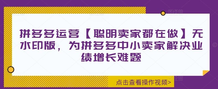 拼多多运营【聪明卖家都在做】无水印版，为拼多多中小卖家解决业绩增长难题-网赚联盟