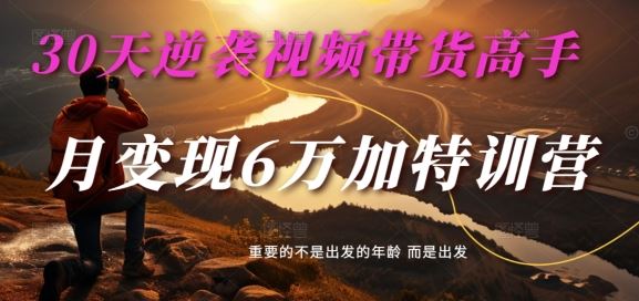 30天逆袭视频带货高手，单月变现6万加特训营-麦子甜-网赚联盟
