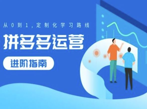 拼多多运营进阶指南，从0到1定制化学习路线-网赚联盟