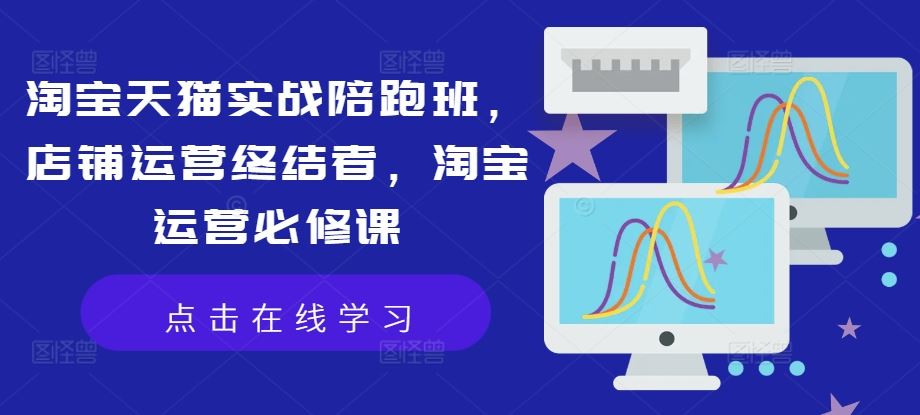 淘宝天猫实战陪跑班，店铺运营终结者，淘宝运营必修课-网赚联盟