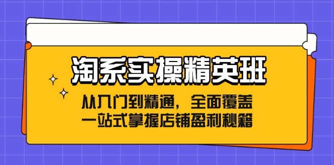 （12276期）淘系实操精英班：从入门到精通，全面覆盖，一站式掌握店铺盈利秘籍-网赚联盟