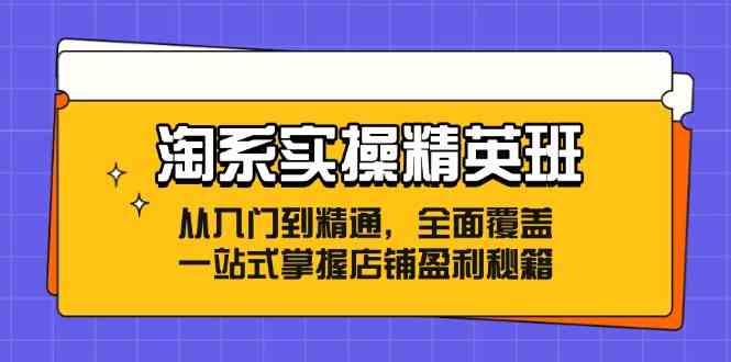 淘系实操精英班：从入门到精通，全面覆盖，一站式掌握店铺盈利秘籍-网赚联盟