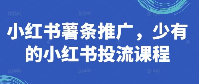 小红书薯条推广，少有的小红书投流课程-网赚联盟