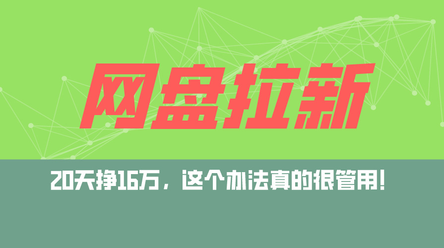 （12294期）网盘拉新+私域运营玩法，零基础入门，小白可操作，当天见效，日入5000+-网赚联盟