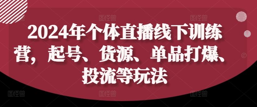 2024年个体直播训练营，起号、货源、单品打爆、投流等玩法-网赚联盟