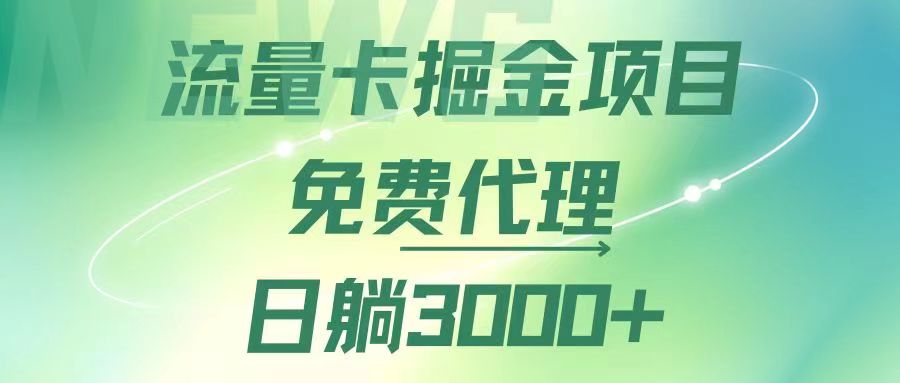 （12321期）流量卡掘金代理，日躺赚3000+，变现暴力，多种推广途径-网赚联盟