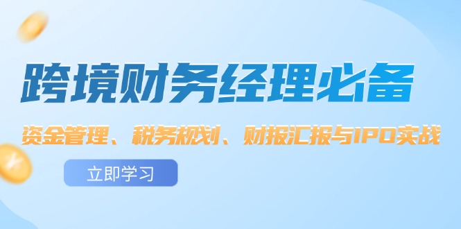 （12323期）跨境 财务经理必备：资金管理、税务规划、财报汇报与IPO实战-网赚联盟
