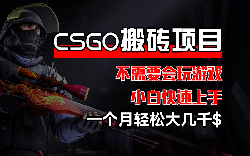 （12332期）CSGO 装备搬砖项目，操作简单，不需要会玩游戏，小白也能快速上手，一…-网赚联盟