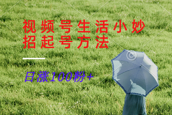 视频号生活小妙招分享赛道， 起号涨粉新方法，日涨100粉-网赚联盟