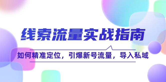（12382期）线 索 流 量-实战指南：如何精准定位，引爆新号流量，导入私域-网赚联盟