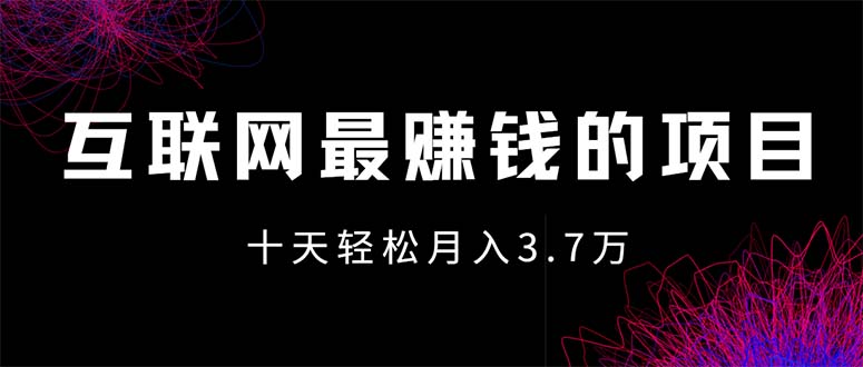 （12396期）互联网最赚钱的项目没有之一，轻松月入7万+，团队最新项目-网赚联盟