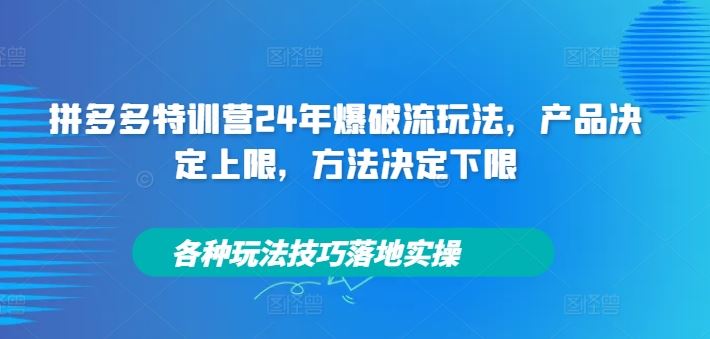 拼多多特训营24年爆破流玩法，产品决定上限，方法决定下限，各种玩法技巧落地实操-网赚联盟