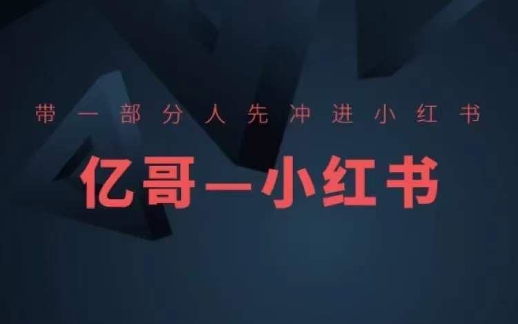 ​​带一部分人先冲进小红书，小红书开店、选品、爆款裂变-网赚联盟