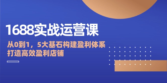 （12482期）1688实战运营课：从0到1，5大基石构建盈利体系，打造高效盈利店铺-网赚联盟