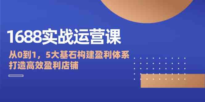 1688实战运营课：从0到1，5大基石构建盈利体系，打造高效盈利店铺-网赚联盟