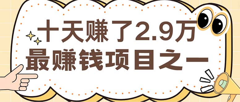 （12491期）闲鱼小红书赚钱项目之一，轻松月入6万+项目-网赚联盟