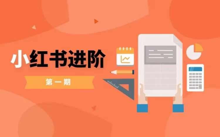 小红书进阶篇，零基础小白实战课，普通人变现的课程-网赚联盟