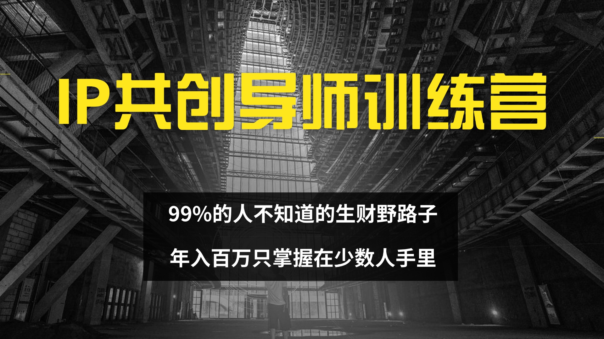 （12504期）IP共创导师训练营 99%的人不知道的生财野路子 只掌握在少数人手里-网赚联盟