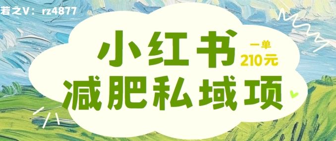 小红书减肥粉，私域变现项目，一单就达210元，小白也能轻松上手【揭秘】-网赚联盟