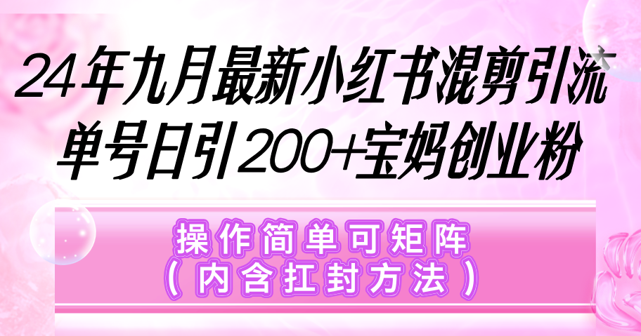 （12530期）小红书混剪引流，单号日引200+宝妈创业粉，操作简单可矩阵（内含扛封…-网赚联盟