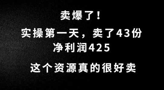 这个资源，需求很大，实操第一天卖了43份，净利润425【揭秘】-网赚联盟