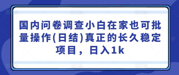 国内问卷调查小白在家也可批量操作(日结)真正的长久稳定项目，日入1k【揭秘】-网赚联盟