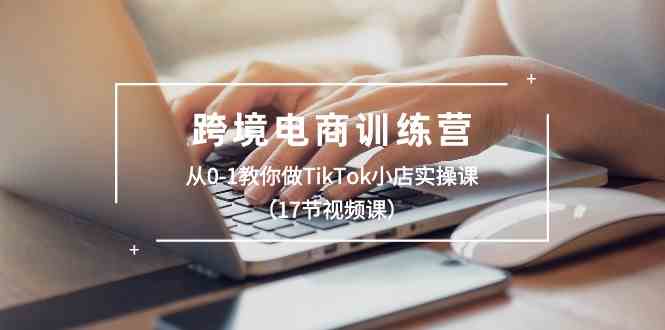 跨境电商训练营：从0-1教你做TikTok小店实操课（17节视频课）-网赚联盟