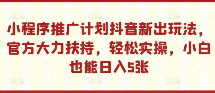 小程序推广计划抖音新出玩法，官方大力扶持，轻松实操，小白也能日入5张【揭秘】-网赚联盟