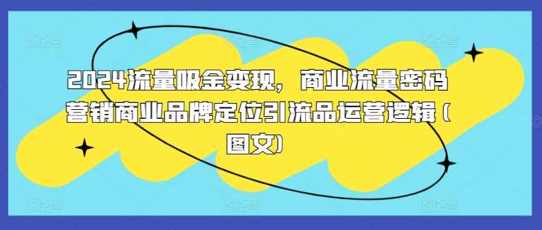 2024流量吸金变现，商业流量密码营销商业品牌定位引流品运营逻辑(图文)-网赚联盟
