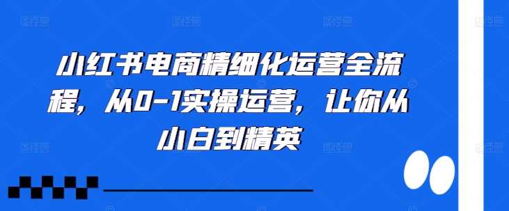 小红书电商精细化运营全流程，从0-1实操运营，让你从小白到精英-网赚联盟