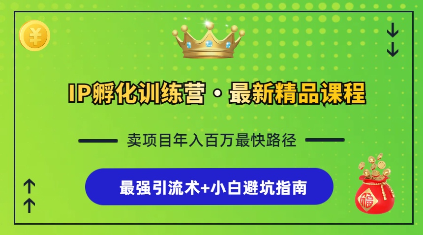 （13055期）IP孵化训练营，知识付费全流程+最强引流术+小白避坑指南-网赚联盟