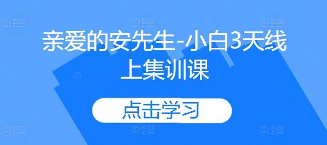 亲爱的安先生-小白3天线上集训课-网赚联盟