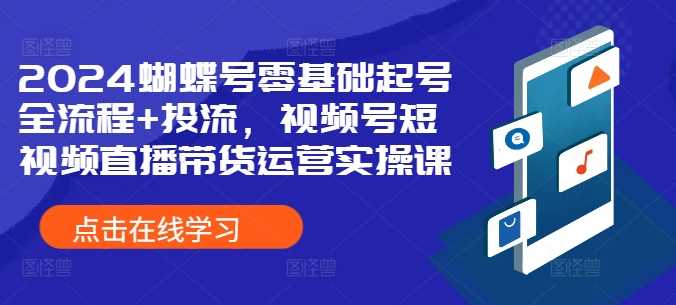 2024蝴蝶号零基础起号全流程+投流，视频号短视频直播带货运营实操课-网赚联盟