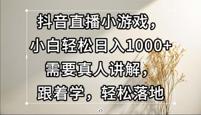 （13075期）抖音直播小游戏，小白轻松日入1000+需要真人讲解，跟着学，轻松落地-网赚联盟
