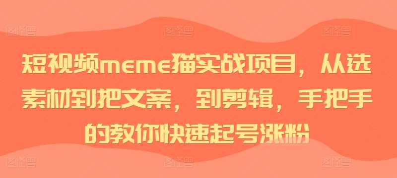 短视频meme猫实战项目，从选素材到把文案，到剪辑，手把手的教你快速起号涨粉-网赚联盟