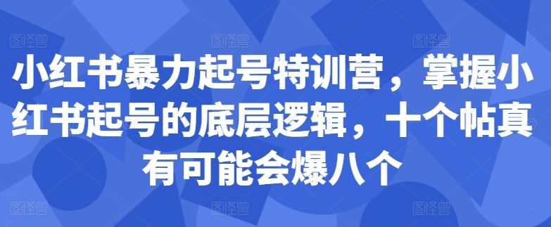 小红书暴力起号特训营，掌握小红书起号的底层逻辑，十个帖真有可能会爆八个-网赚联盟