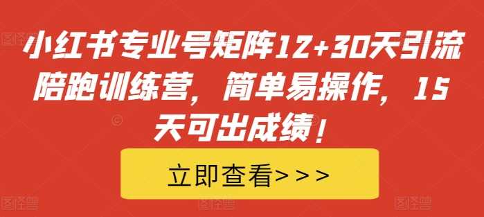 小红书专业号矩阵12+30天引流陪跑训练营，简单易操作，15天可出成绩!-网赚联盟