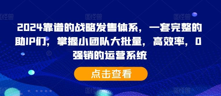 2024靠谱的战略发售体系，一套完整的助IP们，掌握小团队大批量，高效率，0 强销的运营系统-网赚联盟