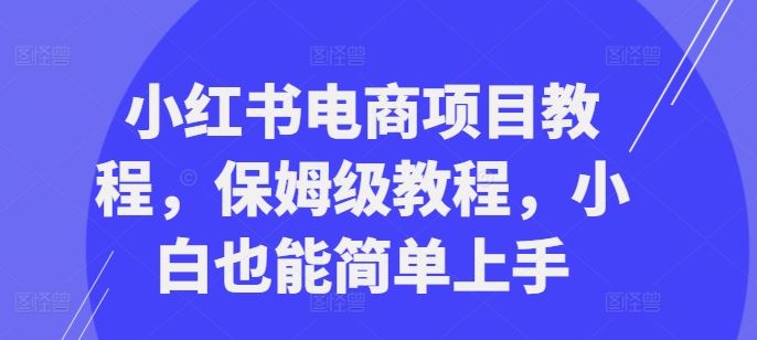 小红书电商项目教程，保姆级教程，小白也能简单上手-网赚联盟